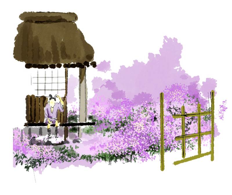トキワシオンは常に紫の庭。