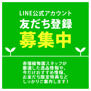 LINEともだち登録