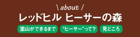 aboutレッドヒルヒーサーの森