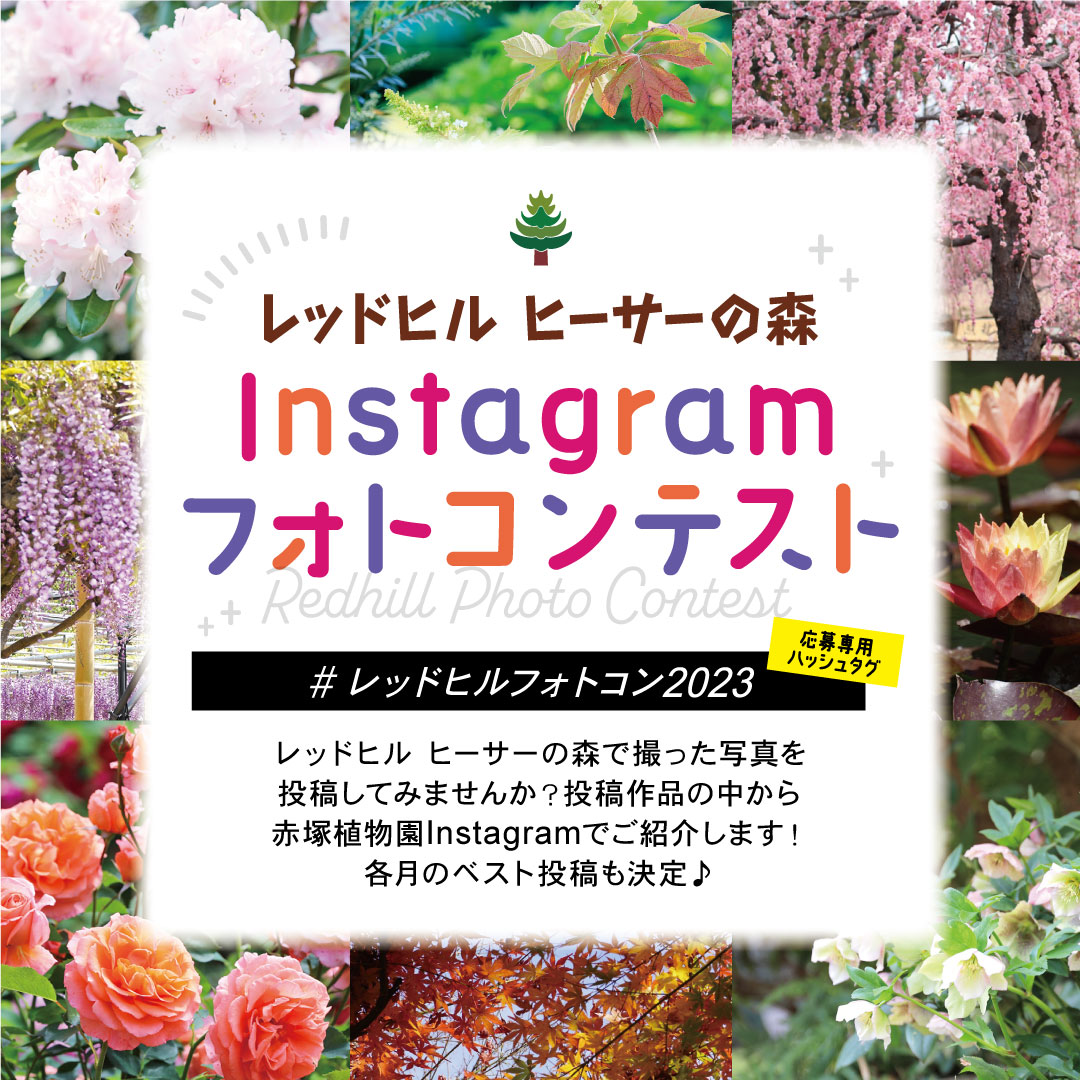 Instagramフォトコンテスト