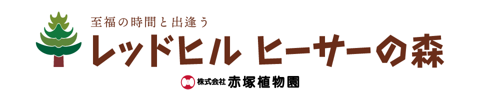 レッドヒル ヒーサーの森 Redhill the Forest of Hisa